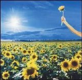 Stone Temple Pilots - Thank You