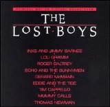Echo & the Bunnymen - The Lost Boys