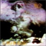 Ministry - The Land of Rape and Honey