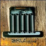 Vaughan, Stevie Ray - SRV - The Boxed Set (Disc 3)