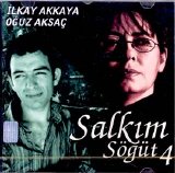 salkım söğüt - salkım söğüt-4