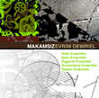 evrim demirel - makamsız [kalan]