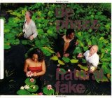 de-phazz - natural fake