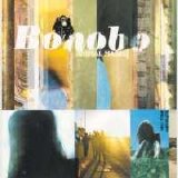 Bonobo - animal magic