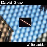 David Gray - White Ladder