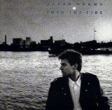 Bryan Adams Into the fire. 1987 (320) - Into The Fire