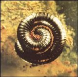 Nine Inch Nails - Closer to God