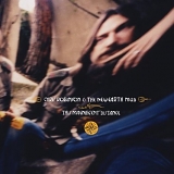 Chris Robinson - This Magnificent Distance