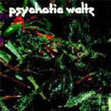Psychotic Waltz - Mosquito