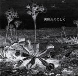 LSD-March - Suddenly, Like Flames