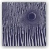 Sunn O))) - The Grimm Robe Demos