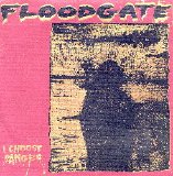 Floodgate - I Choose Danger