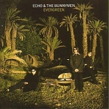 Echo & The Bunnymen - Evergreen