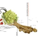 The Vegetable Orchestra - Automate