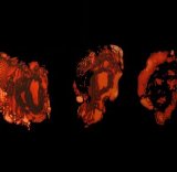 Deathspell Omega - Kénôse