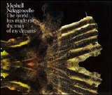 Meshell Ndegeocello - The World Has Made Me The Man Of My Dreams