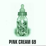 Pink Cream 69 - FOOD FOR THOUGHT