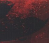 Blind Cave Salamander - Blind Cave Salamander