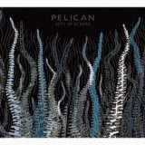 Pelican - City of Echoes