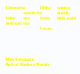 Muslimgauze - Veiled Sisters Remix