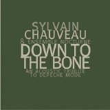 Sylvain Chauveau - Down To The Bone