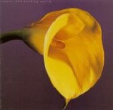 Swans - The Burning World