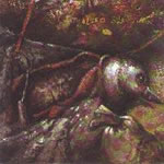 Controlled Bleeding - Dub Songs From a Shallow Grave