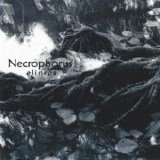 Necrophorus - Elinrós