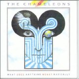 The Chameleons - What Does Anything Mean? Basically