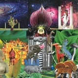 The Apples In Stereo - New Magnetic Wonder