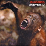 Baby Bird - Bugged