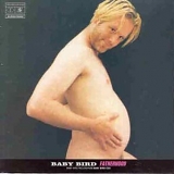 Baby Bird - Fatherhood