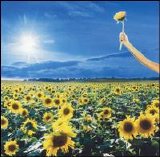 Stone Temple Pilots - Thank You
