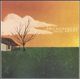John Vanderslice - Pixel Revolt
