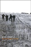 Noir Désir - En route pour la joie
