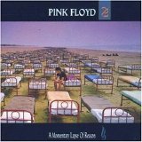 Pink Floyd - A Momentary Lapse Of Reason