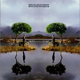 Bruce Dickinson - Skunkworks