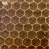 Franco Leprino - Integrati...Disintegrati