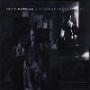 Fates Warning - Pleasant Shade of Gray