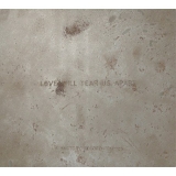 Joy Division - Love Will Tear Us Apart