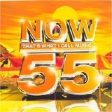 Various artists - Now Thats What I Call Music - 55