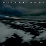 Tord Gustavsen Trio - Being There