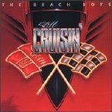 The Beach Boys - Still Surfin'