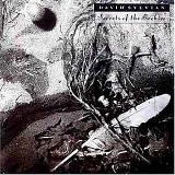 David Sylvian - Secrets of the Beehive