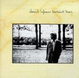 David Sylvian - Brilliant Trees