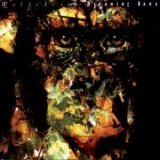 Wolfsheim - Dreaming Apes