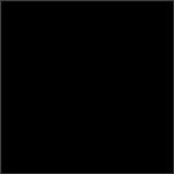 Prince - The Black Album