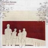 Thirteen Senses - The Invitation