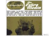 The Feltro Media - The Wonderful World Of The Feltro Media