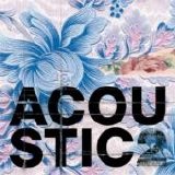 Various artists - Acoustic Vol. 2